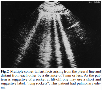 Navigating Cold and Flu Season: The Power of POCUS in Respiratory Diagnosis | Dec 2023 Newsletter 5 unnamed 41 min